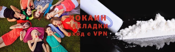 ПСИЛОЦИБИНОВЫЕ ГРИБЫ Медвежьегорск